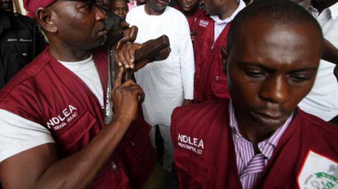 60 drug traffickers captured in Imo by NDLEA 2