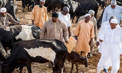Buhari-checking-his-cows-used-to-illustrate-this-story-Credit-TopNaija