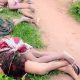 Fulani herdsmen kill four women, 2 others in Nasarawa