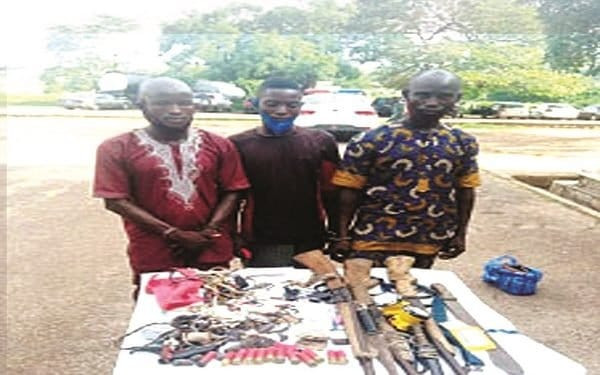 Police arrest three suspects for killing six cows, injuring 13 others in Oyo-TopNaija.ng