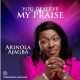 Arinola Ajagba – You Deserve My Praise-TopNaija.ng