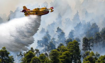 Firefighting plane crashes on Greek island topnaija 1