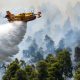 Firefighting plane crashes on Greek island topnaija 1