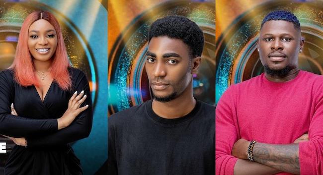 Yerins, Niyi, Beatrice evicted from BBNaija