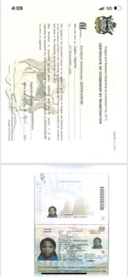 Bamise and Elizabeth Ajetunmobi passports