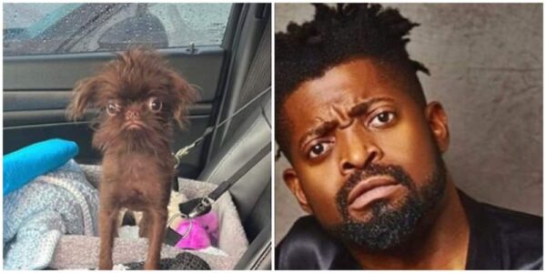 Basketmouth Hilariously comes at troll comparing him to a Dog