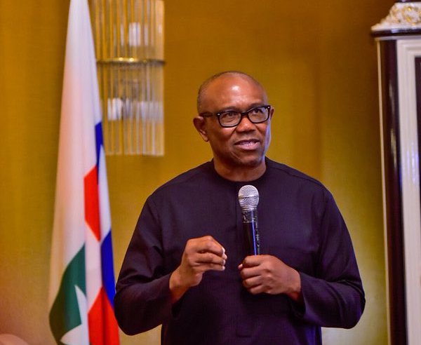 Dino Melaye tells Peter Obi to return to the PDP and be Finance Minister