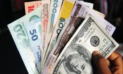 "Someone Earning N1 Daily Won't Make $1 In A Year" - Marketer Raises Concern On Naira Devaluation