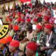 We Don’t Want Any Trouble—Ohaneze to Miyetti Allah