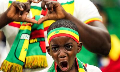 Edouard Mendy Fingered For Senegal’s Loss to Netherlands