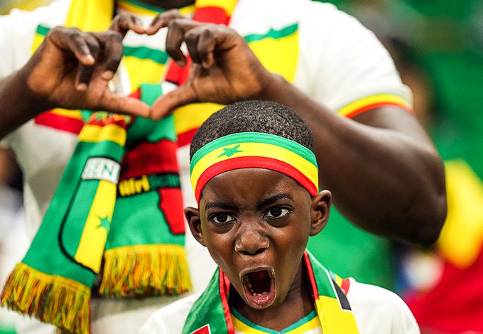 Edouard Mendy Fingered For Senegal’s Loss to Netherlands