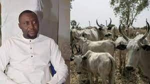 Cow Causes Death Of Former Youth President In Bayelsa On Christmas Eve q