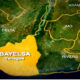 Bayelsa under Siege: Communities Battle Menace of Invasive Water Hyacinths"