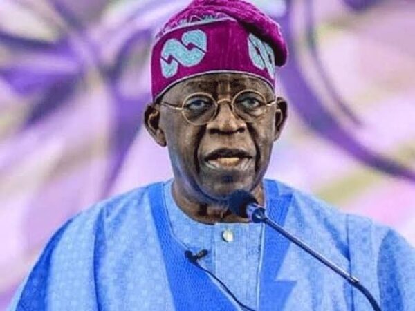 Ex-Governor Segun Oni denies endorsing Tinubu for 2023 Presidency