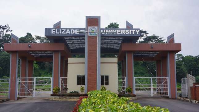 elizade university Adekunle Oloyede