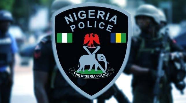 Police arrest suspected armed robber in Imo