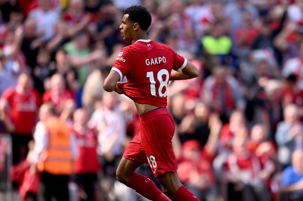 Why Cody Gakpo's goal for Liverpool was ruled out for offside