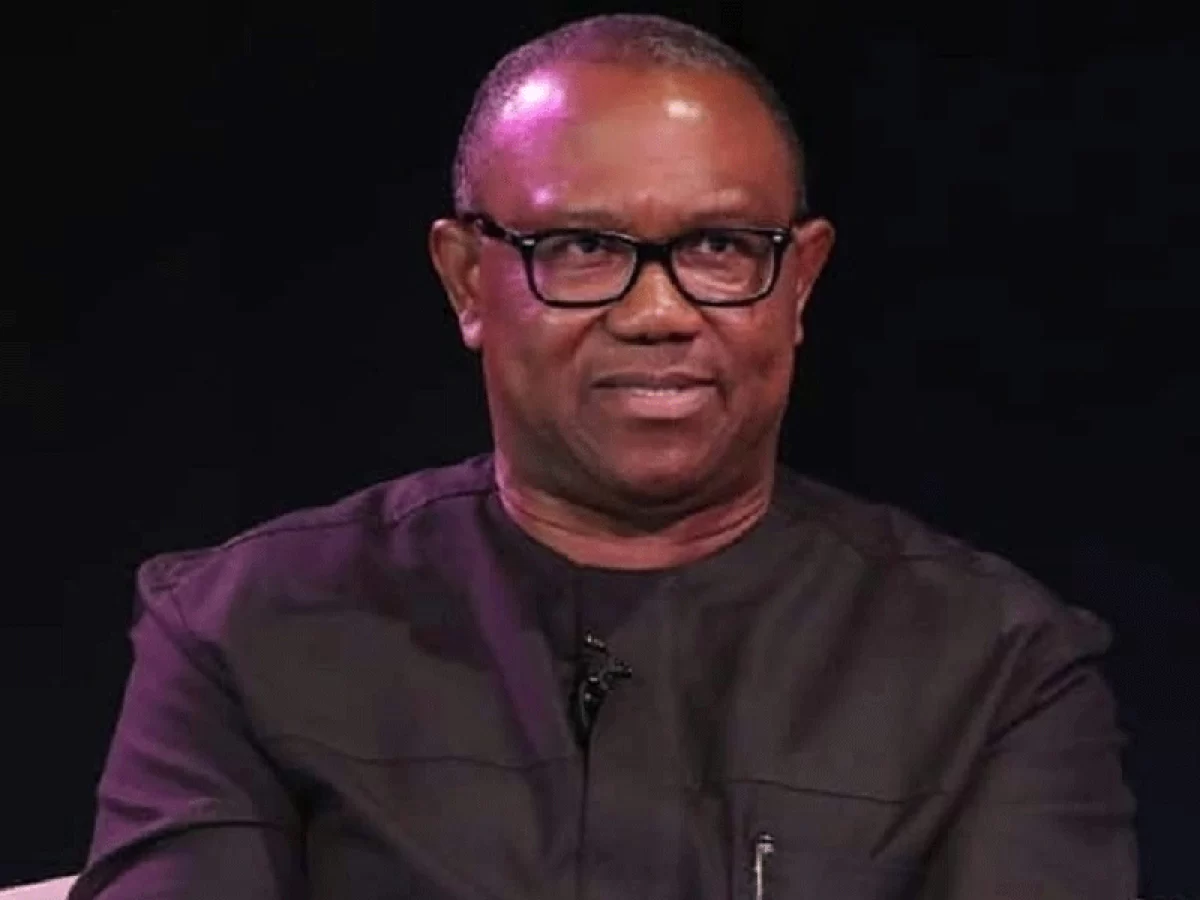 I knew it was never going to be easy -- Peter Obi