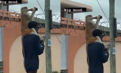 Moment Monkey Sips A Drink While On A Stroll With Its Owner [Video]