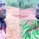 I Haven't Eaten For Days - Suspected Plantain Thief Nabbed In Sagamu Begs For Forgiveness