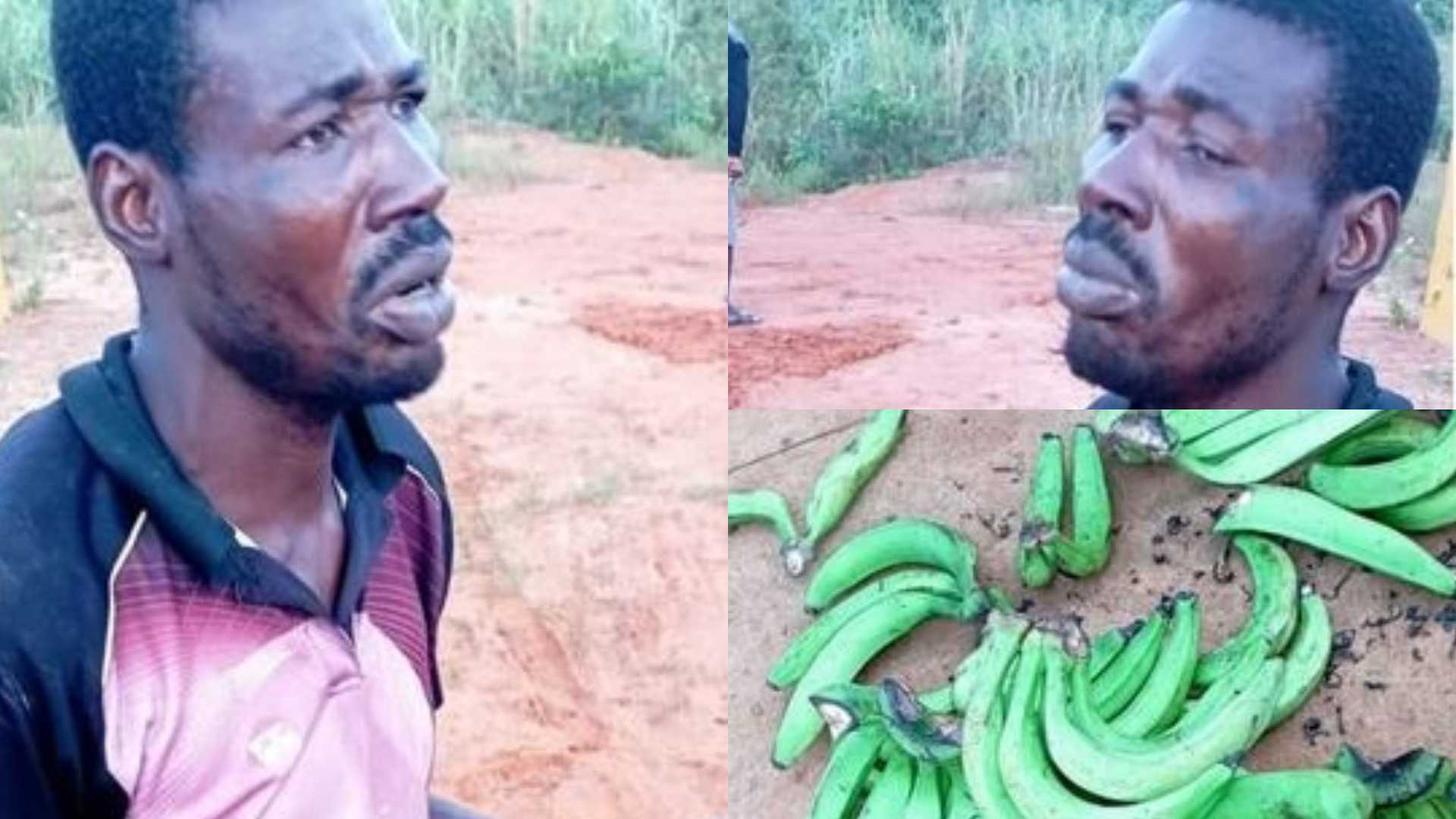 I Haven't Eaten For Days - Suspected Plantain Thief Nabbed In Sagamu Begs For Forgiveness