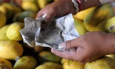 NAFDAC Prohibits Use Of Carbide For Fruit Ripening
