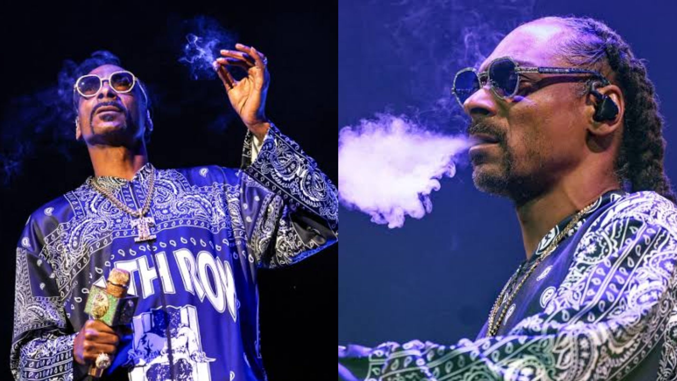 Snoop Dogg quits smoking after 34 years in the act