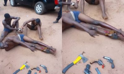 The Benue State Community Volunteer Guards apprehended three alleged armed robbers harassing the Otukpo/Enugu federal route.