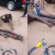 The Benue State Community Volunteer Guards apprehended three alleged armed robbers harassing the Otukpo/Enugu federal route.