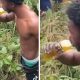 Thief gets caught, giving energy drink to regain strength for the jungle justice [Video]