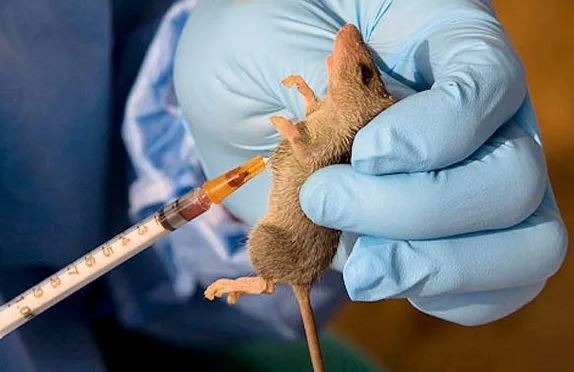 One confirmed dead as Cross River State records Lassa Fever outbreak