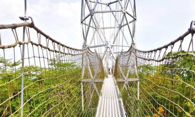 The Canopy Walk Bridge In Lekki Conservation Centre