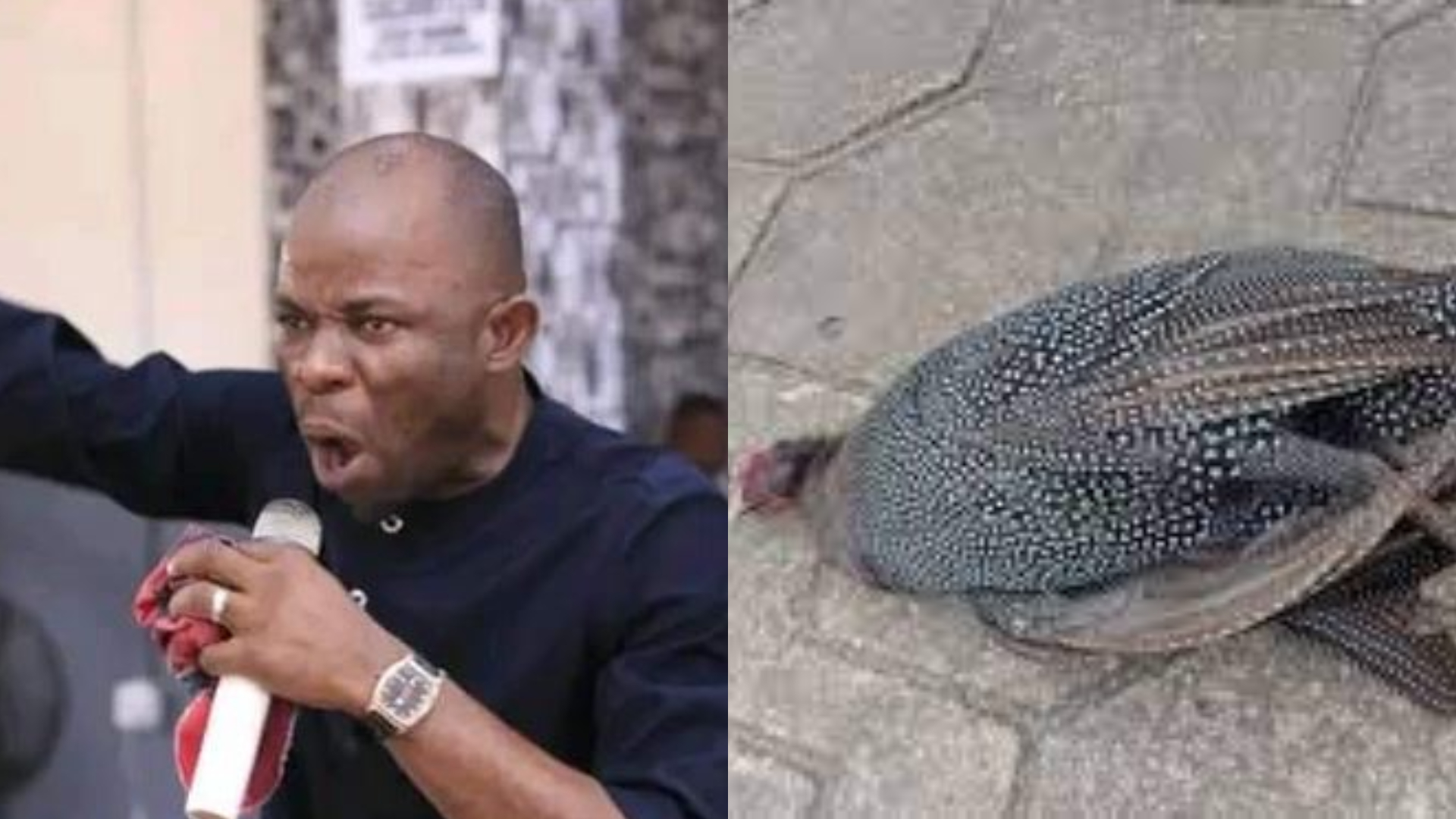 Nigerian pastor raises alarm as he finds dead bush fowl in front of his house