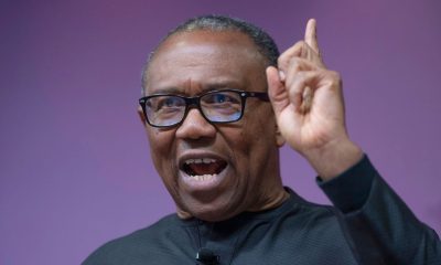 Peter Obi, the presidential candidate of Labour Party in the last election has hailed Nigerian Grammy-nominees even though none of them won at Sunday's ceremony.