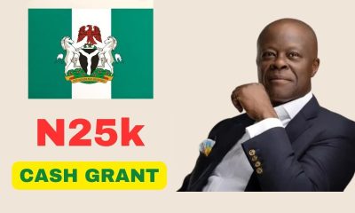 FG’s N25k monthly cash transfer: Who qualifies and how to get it