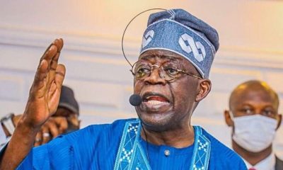 Report any of my aides demanding for bribe - Tinubu tells foreign investors