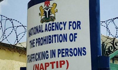 Human traffickers are kidnapping Nigerians using fake $900 pay jobs - NAPTIP reveals