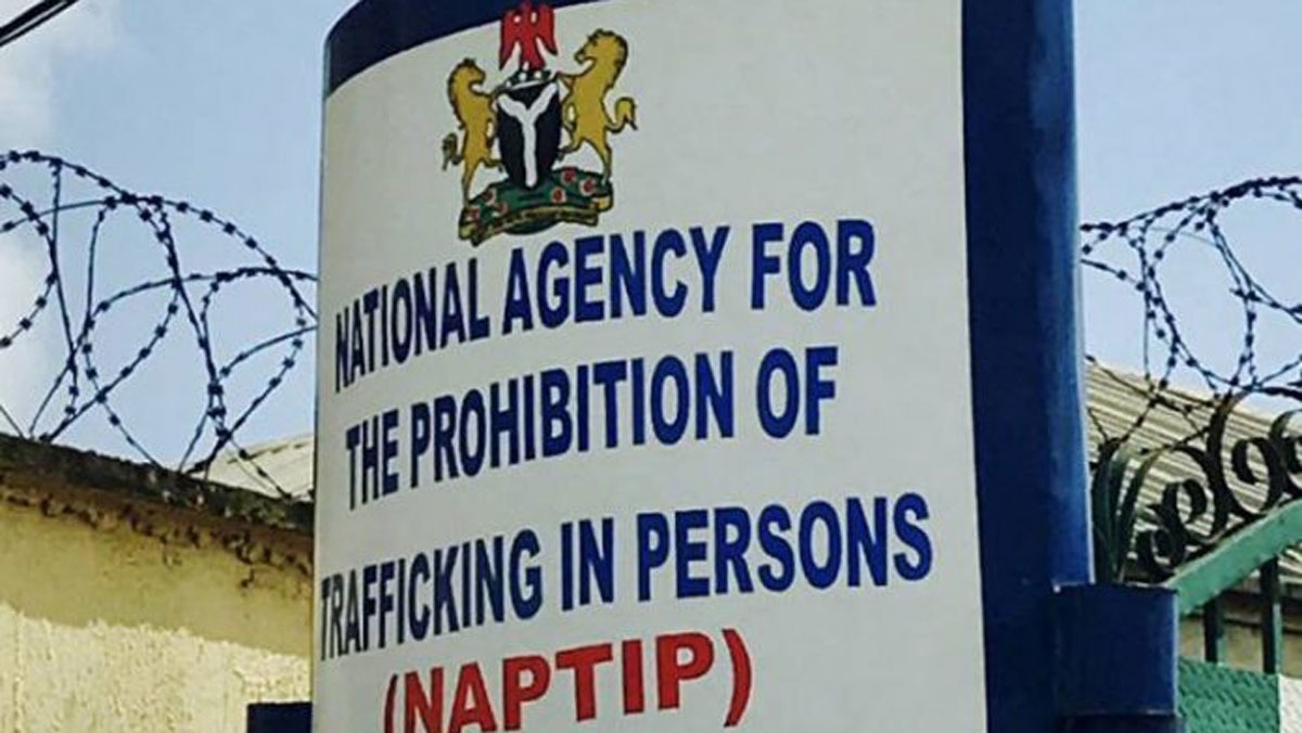 Human traffickers are kidnapping Nigerians using fake $900 pay jobs - NAPTIP reveals