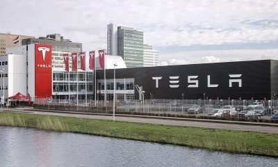 Tesla layoffs: Musk's plans to cut more jobs