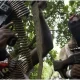 Ebonyi gunmen attack: kill traditional ruler in Umuihe community