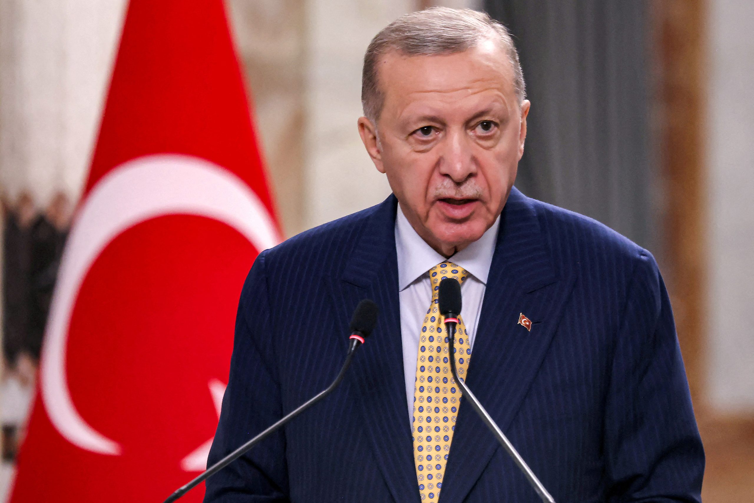 We want to force Israel's hand -- Turkiye President Erdogan