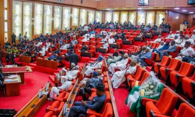 The Senate has concluded on the National ANthem Bill 2024. The Senate plans to revert the old national anthem, "Nigeria, we hail thee."