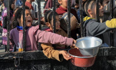 Gaza hunger crisis: Over 1 million face severe malnutrition