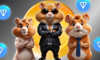 All You Need to Know About Hamster Kombat: Telegram's Hit "Play-to-Earn" Game