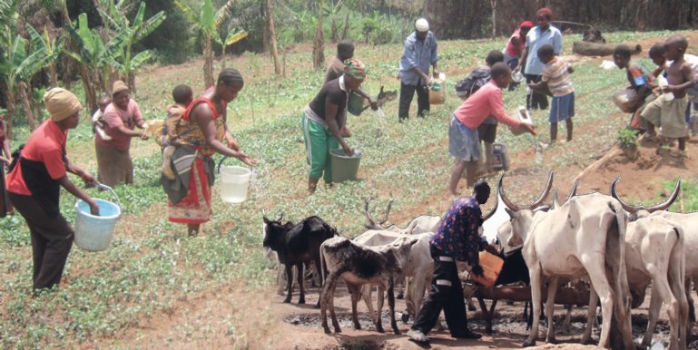 Herders and farmers clash in Niger State leaves three dead