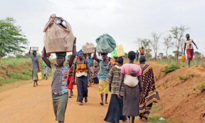 Niger State bandit attack kill 20, farmers flee