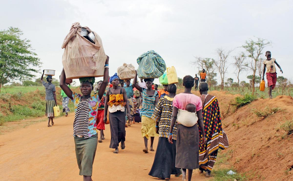 Niger State bandit attack kill 20, farmers flee