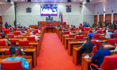 Tinubu's budget extension sparks chaos in House
