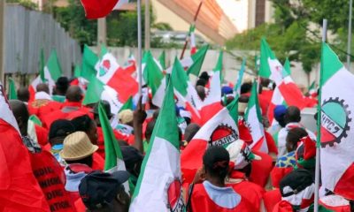NLC teams up with Workers Union to strong-arm FG