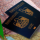 UAE visa: How to easily obtain Dubai express visa from Nigeria [step-by-step guide]